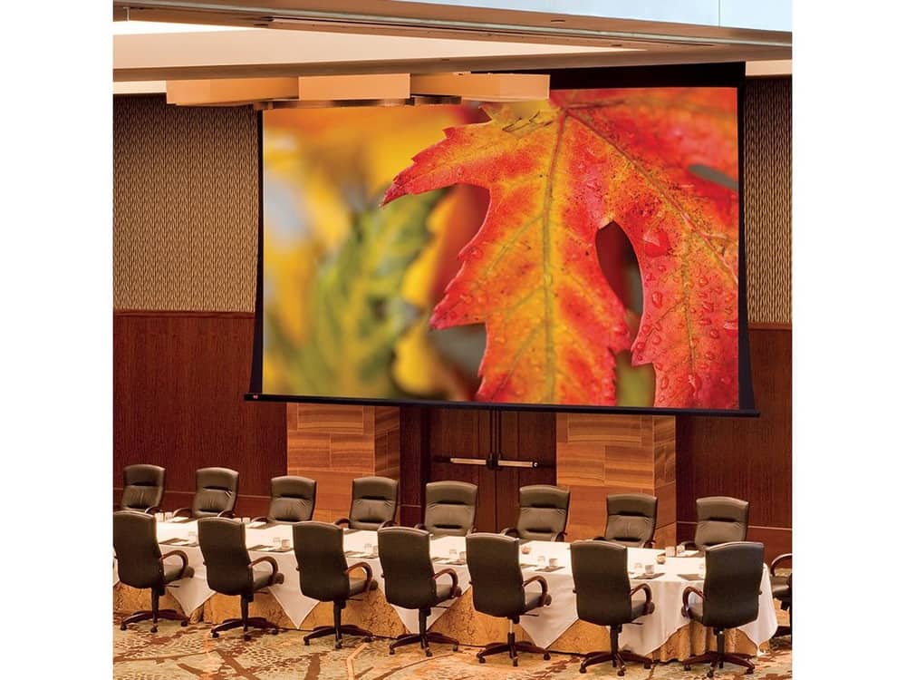 Draper Paragon V projection screen installed in a conference room
